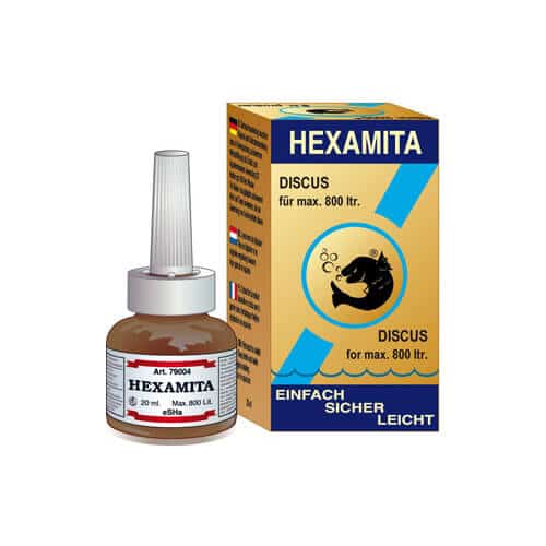 hexamita